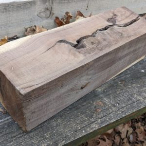 Black Walnut turning blank